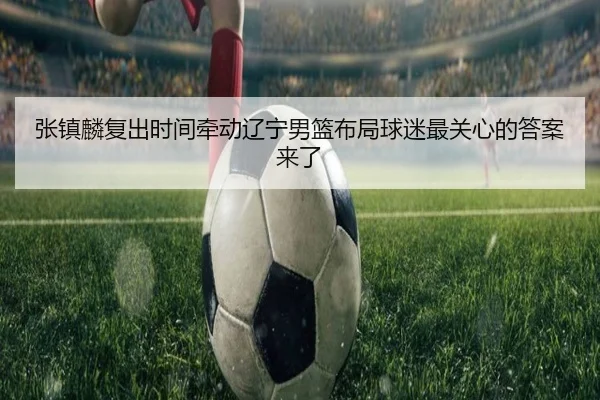 张镇麟复出时间牵动辽宁男篮布局球迷最关心的答案来了